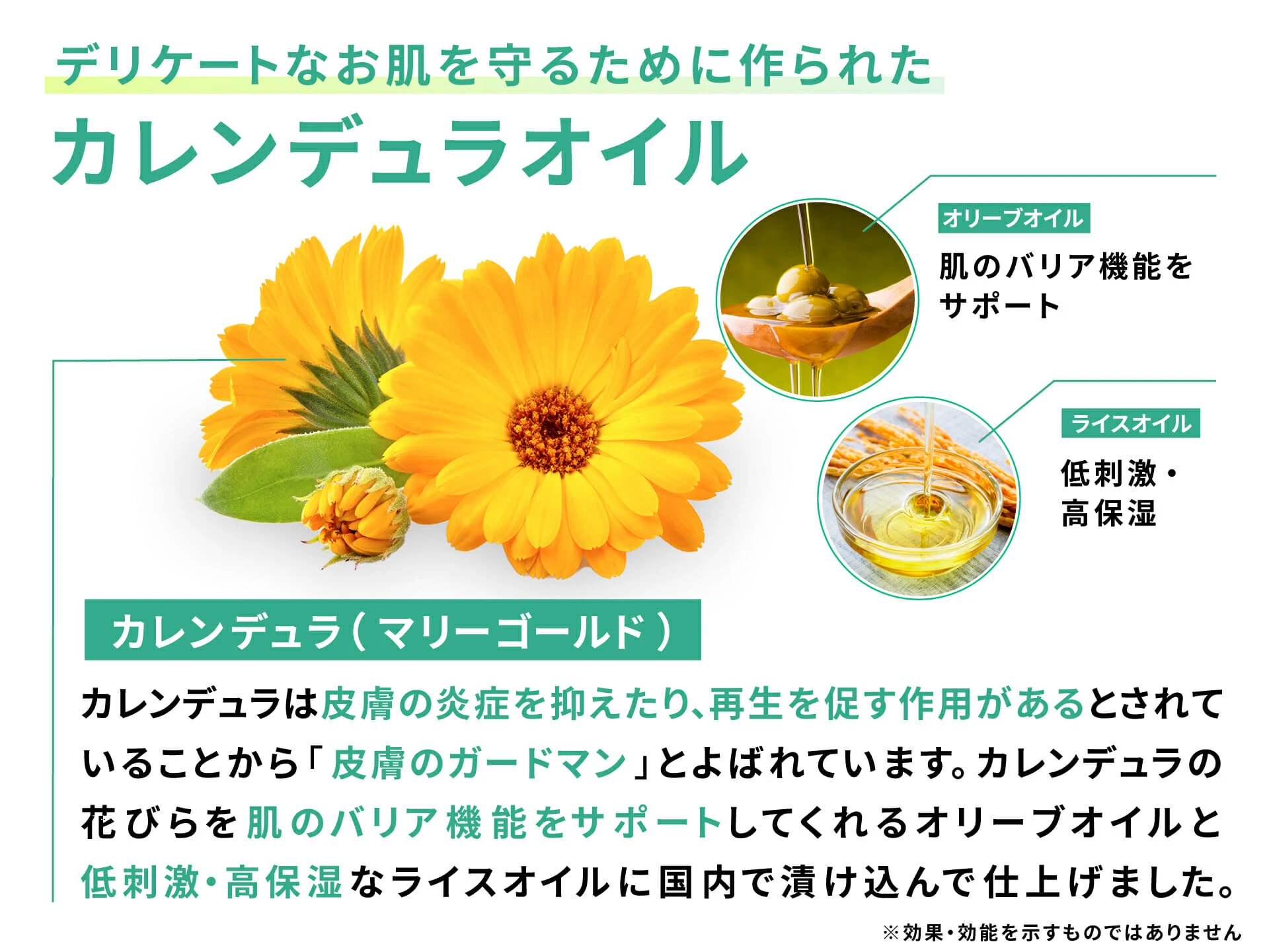 カレンデュラ（マリーゴールド）・オリーブオイル・ライスオイルの3原料の説明