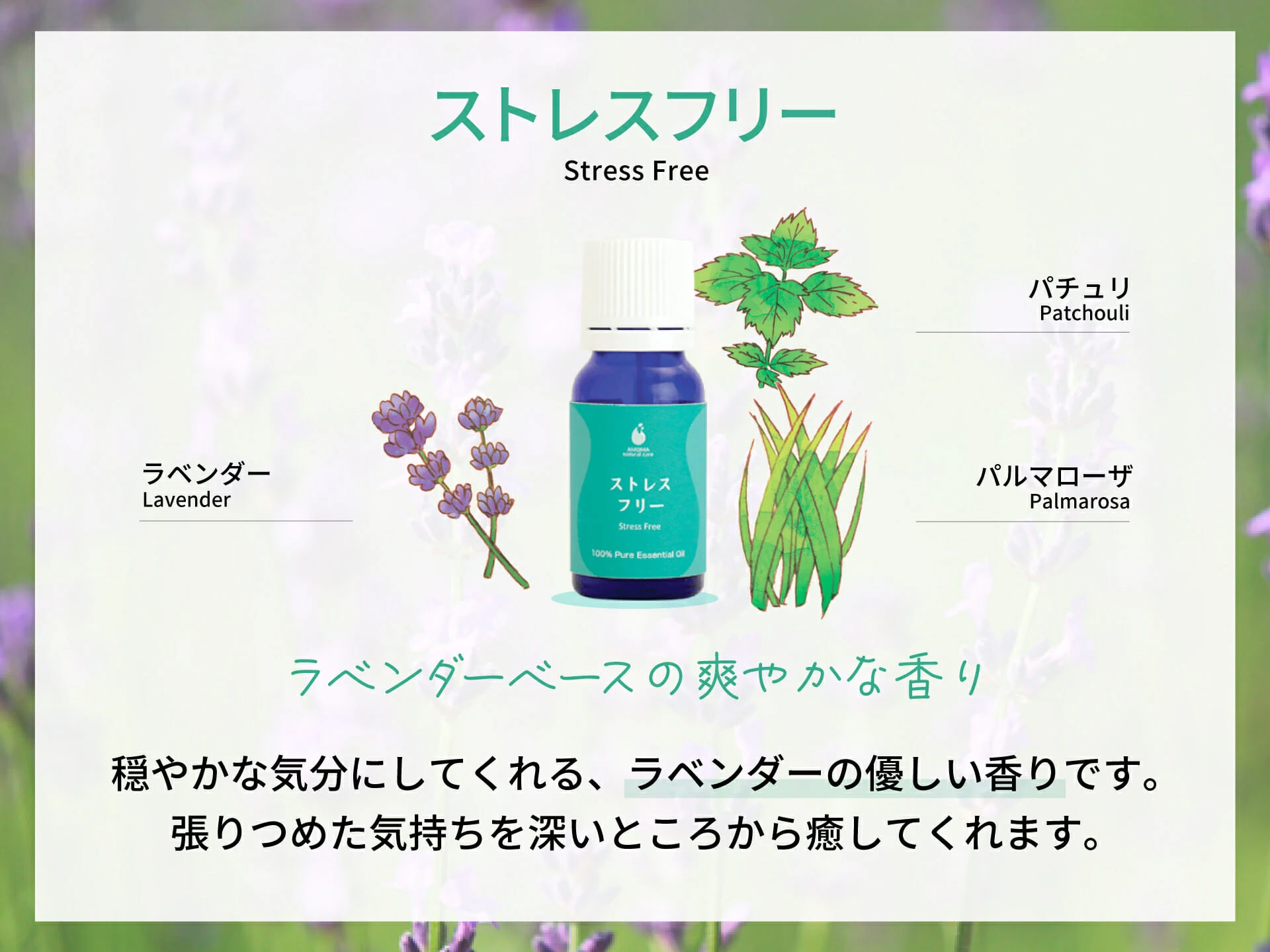 AMOMA ストレスフリー - ラベンダー、パチュリ、パルマローザの3つの精油ブレンド