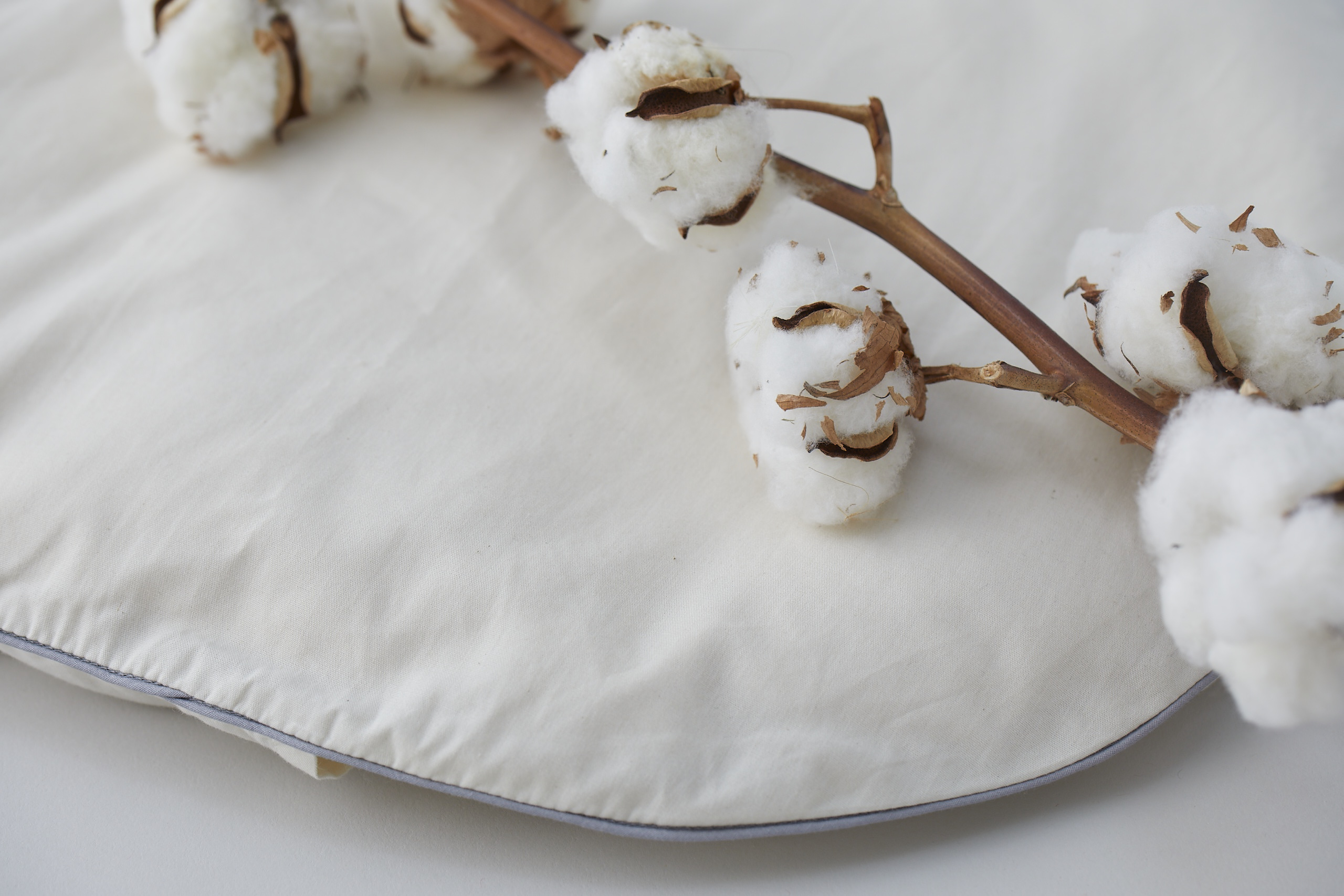 オーガニックコットン素材